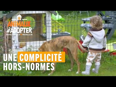 Une complicité hors-normes entre un petit garçon et un chiot