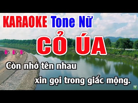 Cỏ Úa Karaoke Tone Nữ Beat Chuẩn – Nhạc Sống Thanh Ngân