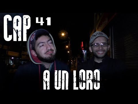 Con Ánimo de Ofender : Cap #41 -  A Un Loro