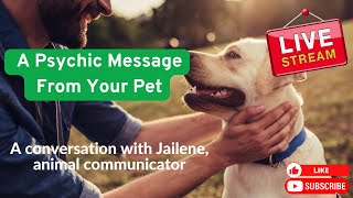 Live Pet Readings with Jailene