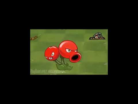 JJ Kipli Chery boom#pvz#pvzfushion#plantsvszombies#plantsvszombiesfushion#trend#fyp#viral#shorts
