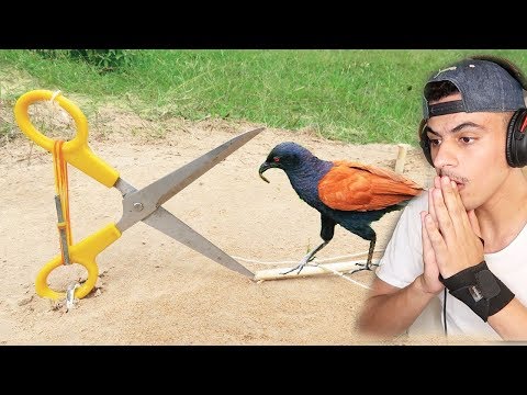 خطوه وحده ويدخل في الفخ 😭!!