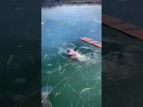 Он вошёл в логово ведьмы 😨🧙‍♀️ #short