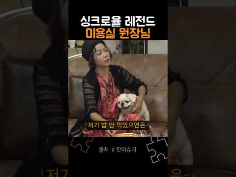 싱크로율 레전드 찍은 미용실 원장님이 된 이수지