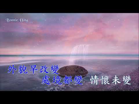 似水流年 (粵語和聲伴奏) 梅艷芳 (Karaoke 伴奏版)