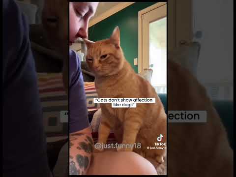 #funny