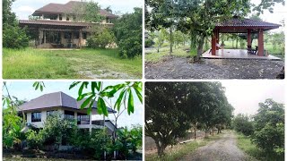 บ้านสวนติดแม่น้ำนครนายก  โฉนด6ไร่ ผลไม้เต็ม 11ล้าน บ้านสองชั้นแหล่งท่องเที่ยว สุดฟินตัวเมืองแค่2กม 