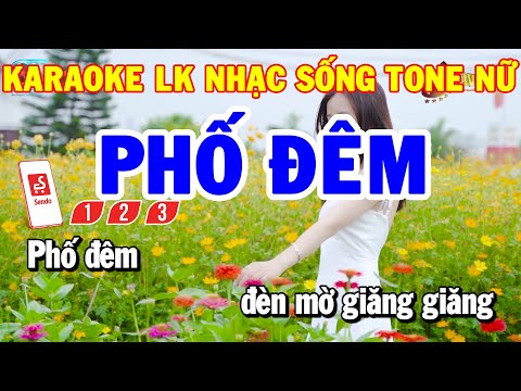 Karaoke Nhạc Sống Liên Khúc  RumbaTone Nữ | Phố Đêm – Mưa Rừng | Karaoke Thanh Hải