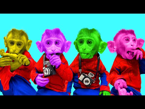 Animal Monkey BinBin takes colorful to go eats M&M candy