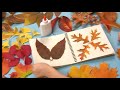 Autumn Activities and Leaf Colors