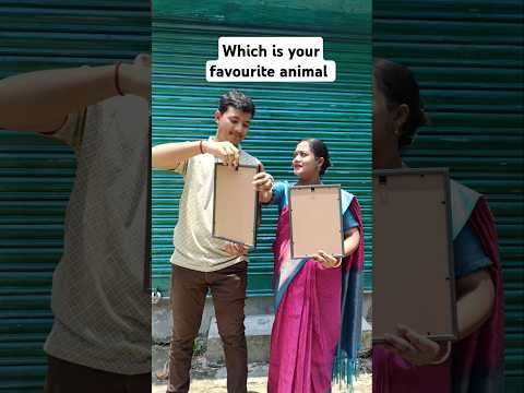 🐶 Dog Lovers ❤️ vs 🐱 Cat Lovers 💙 — Battle Begins #shorts