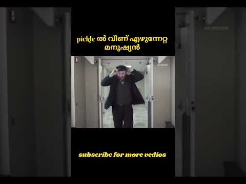 cucumber pickles #explanation #movie #shortvideo
