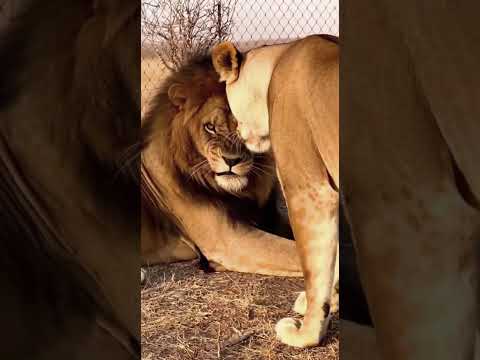 Mommy wasn’t having it!