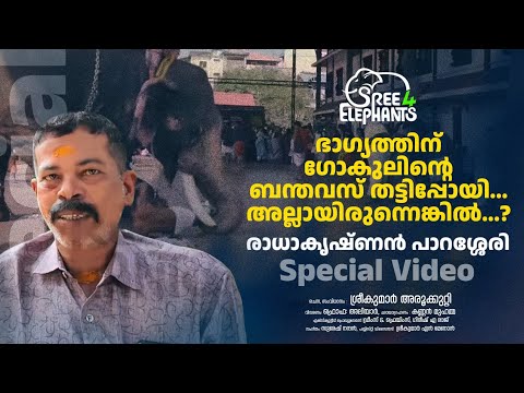 ആന എന്നെ വാരുന്നത് മാത്രമേ അവർ കാണിച്ചുള്ളു... അതു കഴിഞ്ഞ്...?