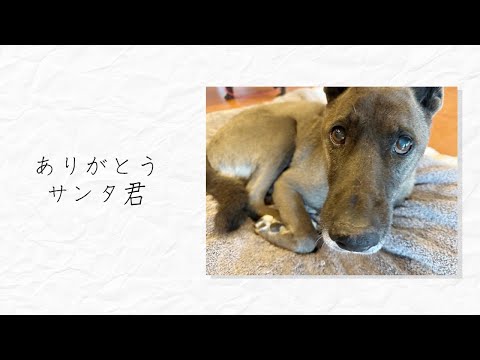 ありがとう、サンタ君
