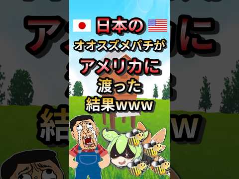 日本最強のオオスズメバチがアメリカに渡った結果www#ずんだもん #ゆっくり解説 #生物