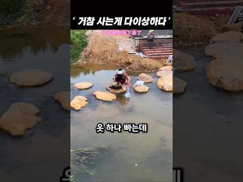 중국반응ㅣ다윈 진화론에서 살짝 벗어나 다른곳으로 간듯