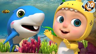 Baby Shark + Ice Cream Song | More Nursery Rhymes & Kids Songs Compilation | Newborn Baby Songs