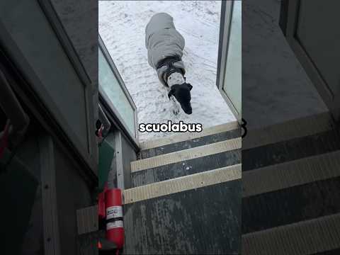 L'autobus dei cani in Alaska🥺❤️