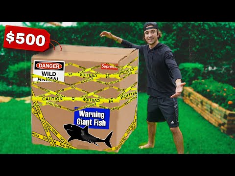 UNBOXING THE BIGGEST MYSTERY FISH BOX YET... (what's inside?)