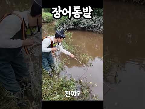 장어통발