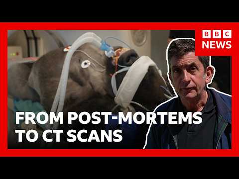 YouTube video thumbnail: Inside London Zoo’s new Wildlife Hospital 