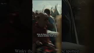Did you notice this in Harry Potter?