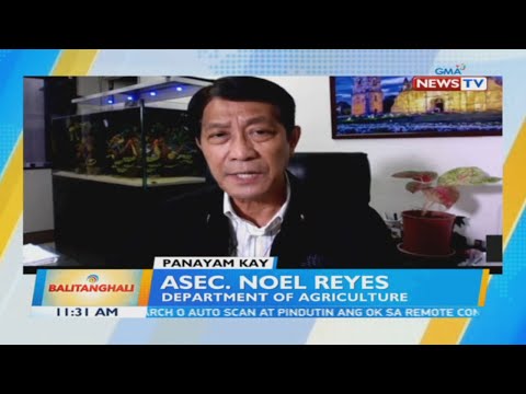 Panayam kay Asec. Noel Reyes, Department of Agriculture | Videos | GMA ...