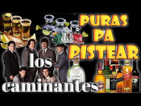 Puras pa' pistear 👉los caminantes }