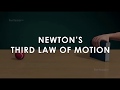 Newton's Third Law of Motion