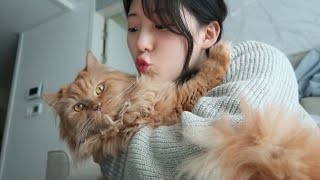 현대인의 별거 없는 생일 VLOG 🎂｜카페 알바｜플립4 공짜로 고친날｜집에서 방어회 떠 먹었어요｜소소하게 보낸 하루