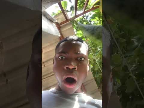 Porquê???