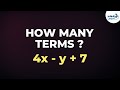 Understanding Terms in Mathematical Expressions