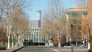 December Freezing Weather - Beijing so calm & silent | My University
