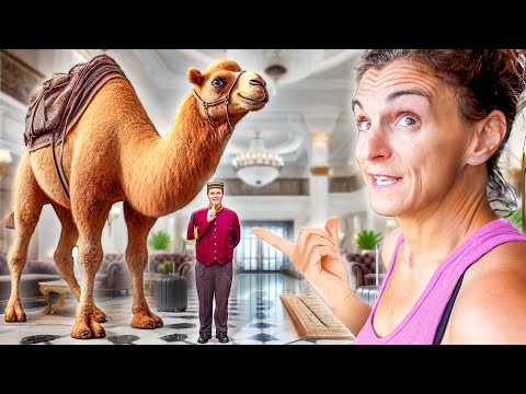 We Snuck A Giant Camel Into A 5-Star Hotel, And Got Kicked Out!.