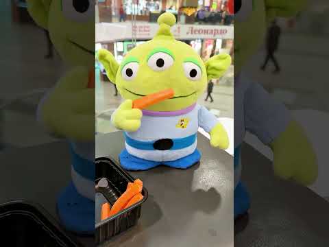 袣袗袦袠袥袥袗 袨袣袗袟袗袥袗小鞋 袪携袛袨袦馃