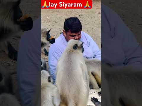 ?Jay Siyaram ?