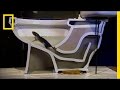 Understanding Rats in Urban Environments