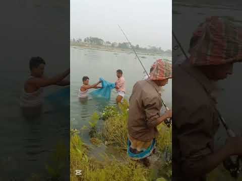 ২৫ কেজি ওজনের রুই মাছ ধরলেন ব্রহ্মপুত্র নদী থেকে?