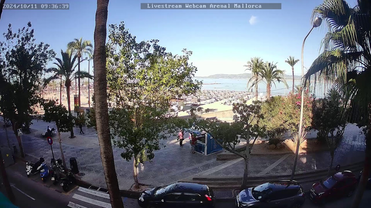 Webcam Webcam El Arenal Strandboulevard