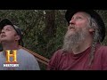 Tree Felling Techniques and Challenges