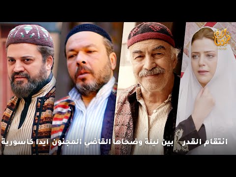 أجمل روايات حارة شوف❤ رواية انتقام القدر- رواية بين ليلة وضحاها- رواية القاضي المجنون