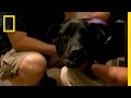 Zamie's Medical Condition and Treatment