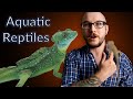Aquatic and Semi-Aquatic Reptiles