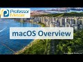 Understanding macOS File Formats and Management