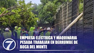 Empresa Eléctrica y maquinaria pesada trabajan en derrumbe de Boca del Monte