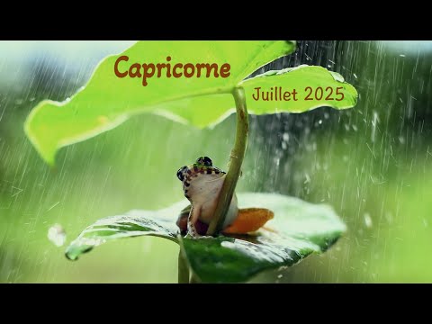 CAPRICORNE - Juillet 2025 ~ Clap de fin !!!