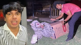 Jungle Wolf Agea Zoo Mein 😱