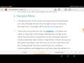 Bats, Reincarnation, and Literary Analysis