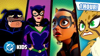 😻 Cat Crusaders 🙀 SUPERHERO MEGA COMPILATION | #kidscartoons #cats @dckids